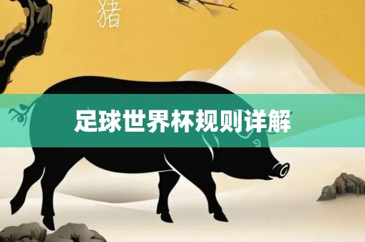 足球世界杯规则详解