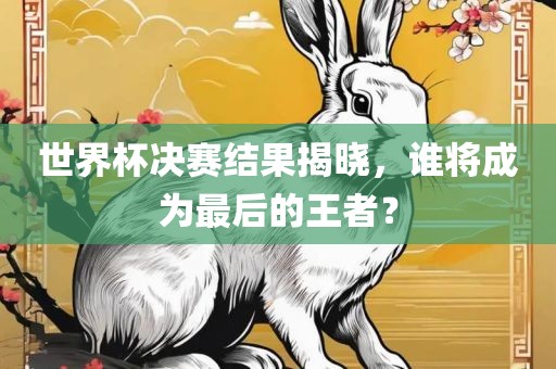 世界杯决赛结果揭晓，谁将成为最后的王者？