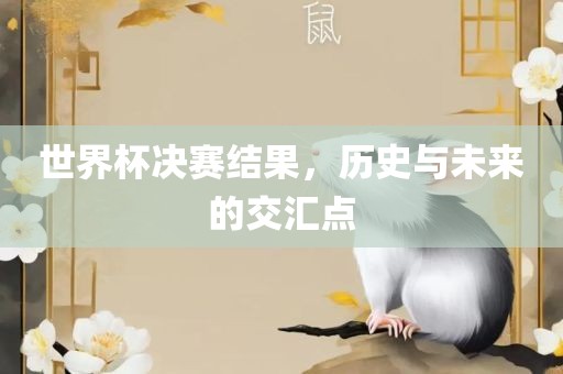 世界杯决赛结果，历史与未来的交汇点
