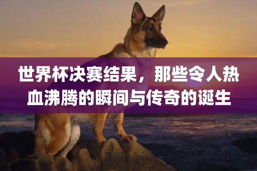 世界杯决赛结果，那些令人热血沸腾的瞬间与传奇的诞生