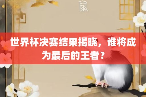 世界杯决赛结果揭晓，谁将成为最后的王者？