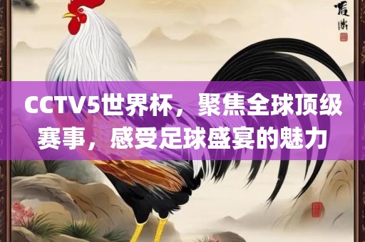 CCT江门市永晋源无纺布有限公司V5世界杯，聚焦全球顶级赛事，感受足球盛宴的魅力