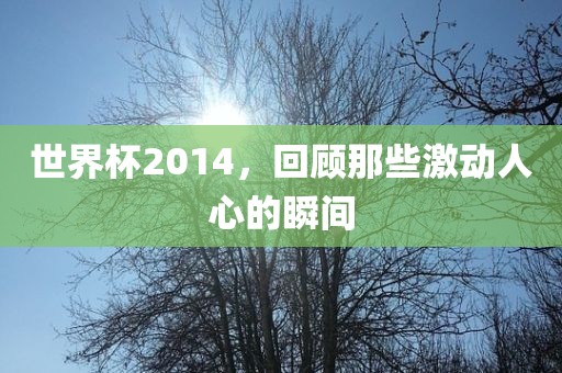 世界杯2014，回顾那些激动人心的瞬间江门市永晋源无纺布有限公司