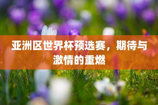 亚洲区世界杯预选赛，期待与激情的重燃