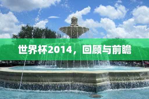 世界杯2014，回顾与前瞻江门市永晋源无纺布有限公司