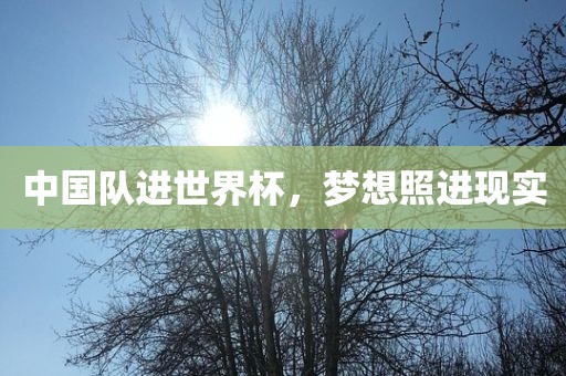 中国队进世界杯，梦想照进现实江门市永晋源无纺布有限公司