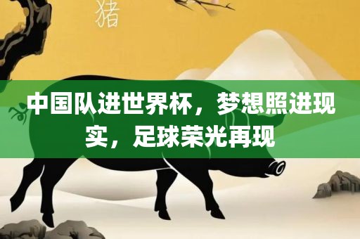 中国队进世界杯，梦想照进现实，足球荣光再现江门市永晋源无纺布有限公司