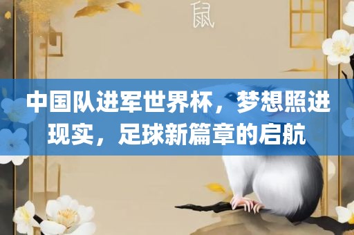 中国队进军世界杯，梦想照进现实，足球新篇章的启航江门市永晋源无纺布有限公司