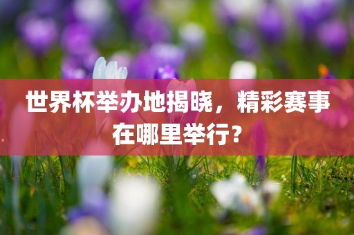 世界杯举办地揭晓，精彩赛事在哪里举行？