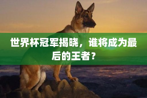 世界杯冠军揭晓，谁将成为最后的王者？