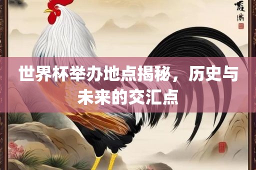 世界杯举办地点揭秘，历史与未来的交汇点