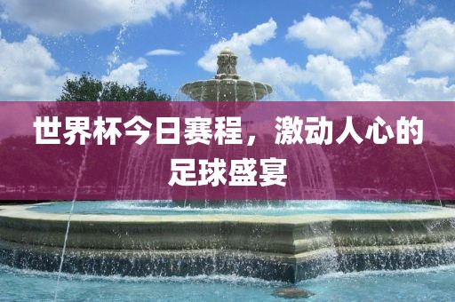 世界杯今日赛程，激动人心的足球盛宴江门市永晋源无纺布有限公司