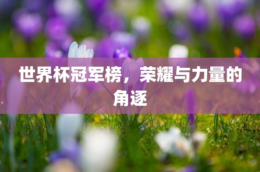 世界杯冠军榜，荣耀与力量的角逐