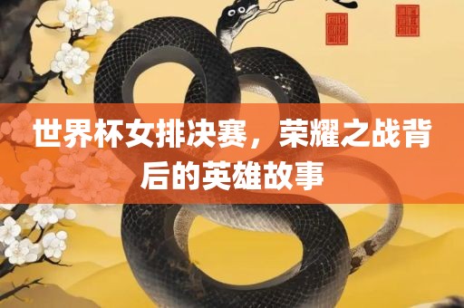 世界杯女排决赛，荣耀之战背后的英雄故事