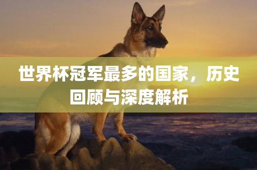 世界杯冠军最多的国家，历史回顾与深度解析