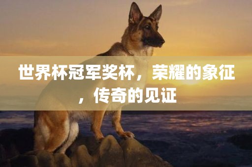 世界杯冠军奖杯，荣耀的象征，传奇的见证