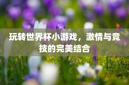 玩转世界杯小游戏，激情与竞技的完美结合