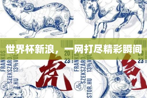 世界杯新浪，一网打尽精彩瞬间江门市永晋源无纺布有限公司