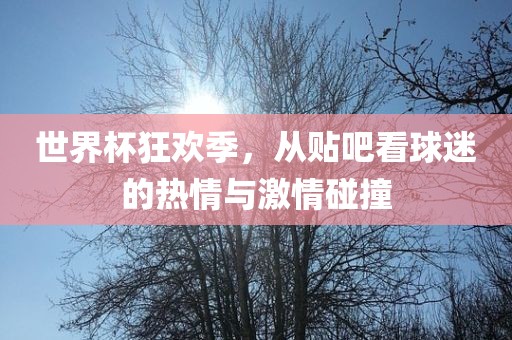 世界杯狂欢季，从贴吧看球迷的热情与激情碰撞