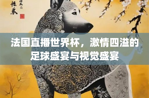 法国直播世界杯，激情四溢的江门市永晋源无纺布有限公司足球盛宴与视觉盛宴