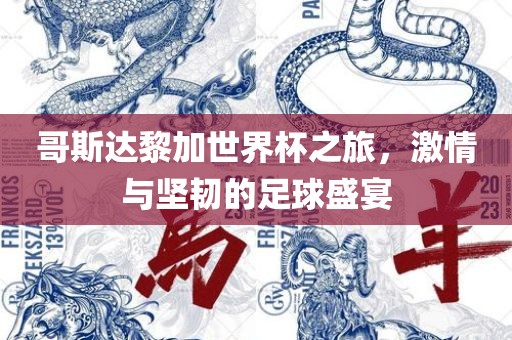 哥斯达黎加世界杯之旅，激情与坚韧的足球盛宴