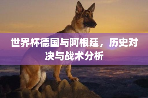世界杯德国与阿根廷，历史对决与战术分析江门市永晋源无纺布有限公司