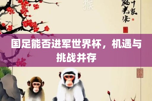 国足能否进军世界杯，机遇与挑战并存江门市永晋源无纺布有限公司