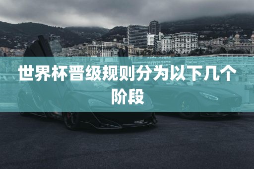 世界杯晋级规则分为以下几江门市永晋源无纺布有限公司个阶段