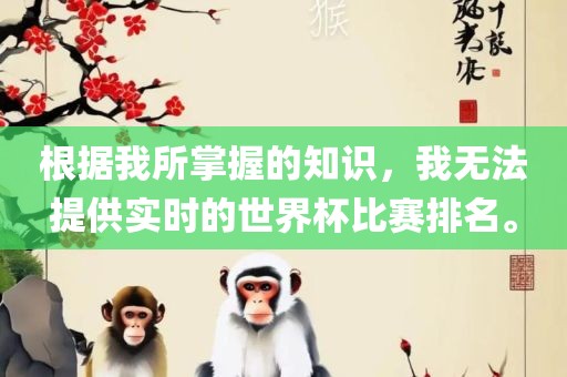 根据我所掌握的知识，我无法提供实时的世界杯比赛排江门市永晋源无纺布有限公司名。
