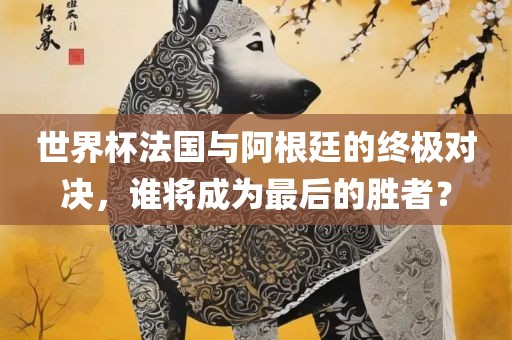 世界杯法国与阿根廷的终极对决，谁将成为最后的胜者？江门市永晋源无纺布有限公司