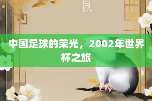 中国足球的荣光，2002年世界杯之旅江门市永晋源无纺布有限公司