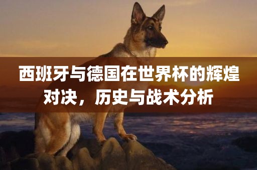 历史与战术分析