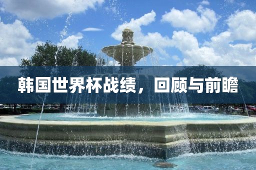 韩国世界杯战绩，回顾与前瞻