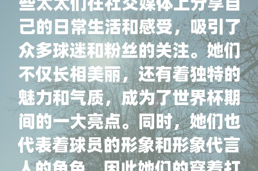 世界杯太太团是指参与世界杯的球队中球员的妻子们组成的团体。这些太太们在世界杯期间备受关注，她们的出现也为比赛增添了不少色彩和看点。这些太太们在社交媒体上分享自己的日常生活和感受，吸引了众多球迷和粉丝的关注。她们不仅长相美丽，还有着独特的魅力和气质，成为了世界杯期间的一大亮点。同时，她们也代表着球员的形象和形象代言人的角色，因此她们的穿着打扮和言行举止备受关注。总之，世界杯太太团是世界杯期间不可或缺的一部分，她们的出现也为球迷们带来了更多的观赏乐趣。