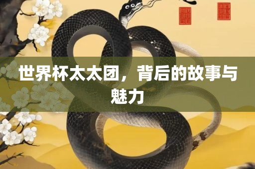 世界杯太太团，背后的故事与魅力