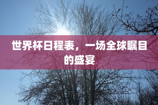 世界杯日程表，一场全球瞩目的盛宴