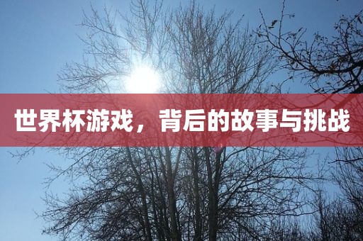 世界杯游戏，背后的故事与挑战