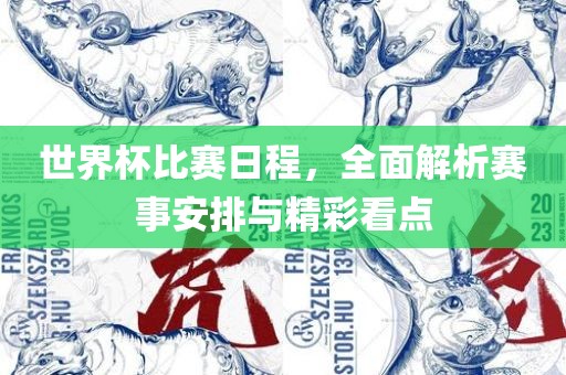 世界杯比赛日程，全面解析赛事安排与精彩看点