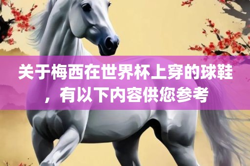 关于梅西在世界杯上穿的球鞋，有以下内容供您参考