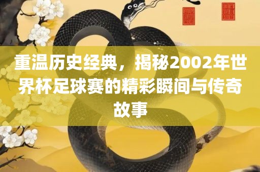 重温历史经典，揭秘2002年世界杯足球赛的精彩瞬间与传奇故事