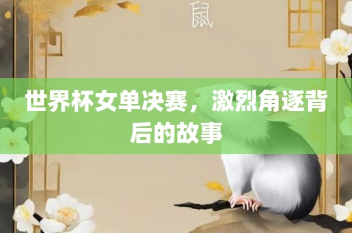 世界杯女单决赛，激烈角逐背后的故事