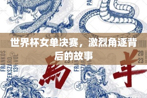 世界杯女单决赛，激烈角逐背后的故事