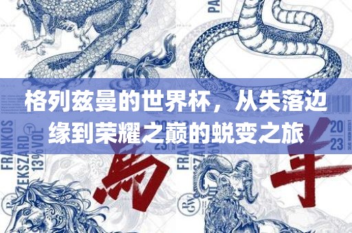 世界杯蜕变之旅