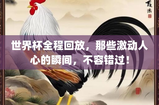世界杯全程回放，那些激动人心的瞬间，不容错过！