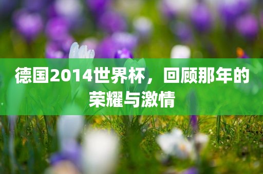 德国2014世界杯，回顾那年的荣耀与激情