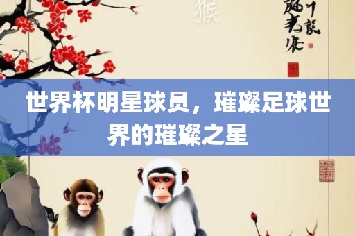 世界杯明星球员，璀璨足球世界的璀璨之星江门市永晋源无纺布有限公司