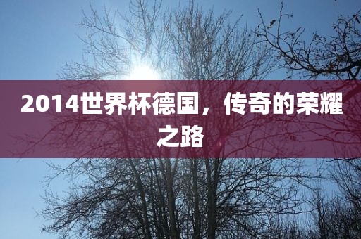 2014世界杯德国，传奇的荣耀之路