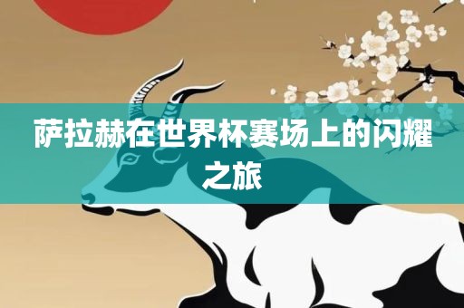 萨拉赫在世界杯赛场上的闪耀之旅江门市永晋源无纺布有限公司