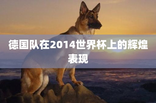 德国队在2014世界杯上的辉煌表现