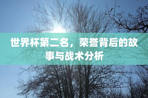 世界杯第二名